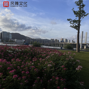 男人天堂新地址
